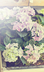 Similar image 13066983