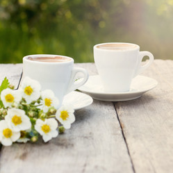 Similar image 13067099