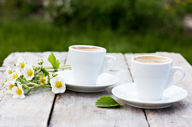 Similar image 13067115