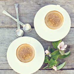 Similar image 13067119