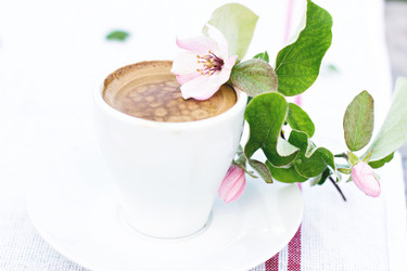 Similar image 13067181