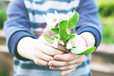 Similar image 13067182