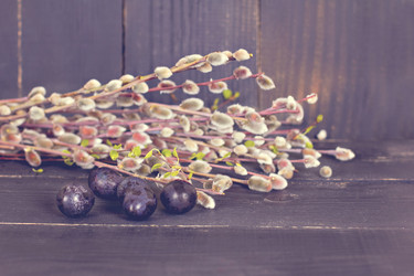 Similar image 13067301