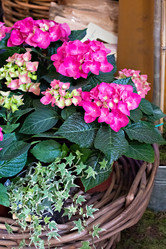 Similar image 13067461