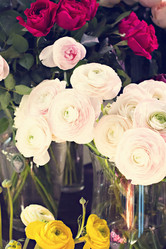 Similar image 13067421