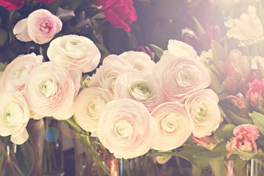 Similar image 13071454