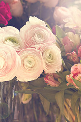 Similar image 13071474