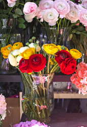 Similar image 13071512