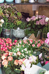 Similar image 13071554