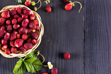 Similar image 13071557