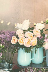 Similar image 13071574