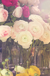 Similar image 13071576