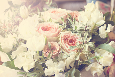 Similar image 13071577