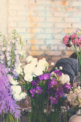 Similar image 13071597