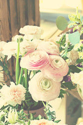 Similar image 13071637