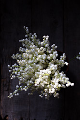 Similar image 13071655