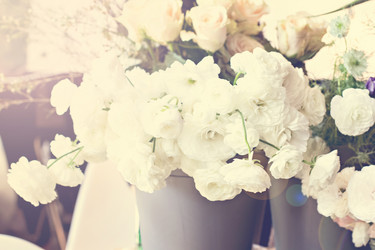 Similar image 13071676