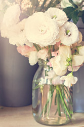 Similar image 13071735