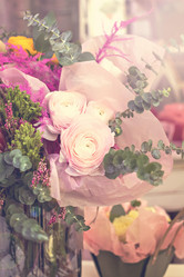 Similar image 13071816