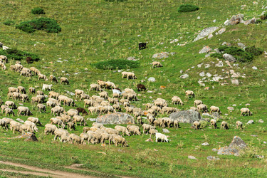 Similar image 13096937