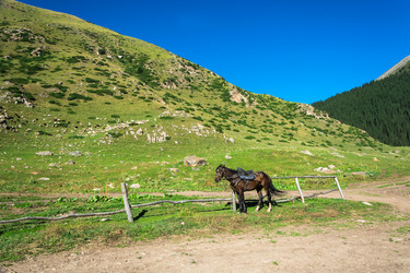 Similar image 13096940