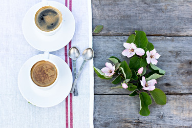 Similar image 13071895