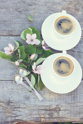 Similar image 13071896