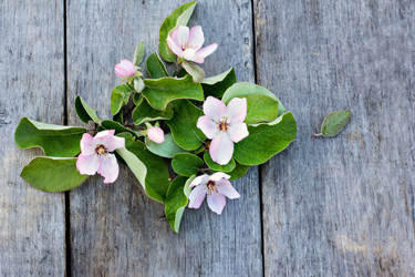 Similar image 13071897