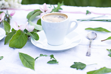 Similar image 13071912