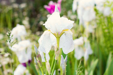 Similar image 13071914