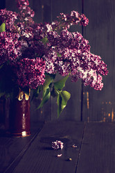 Similar image 13071932