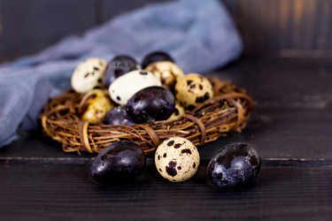 Similar image 13071934