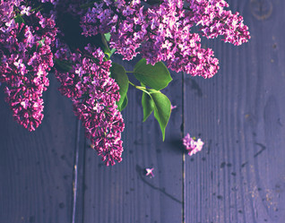 Similar image 13071973