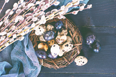 Similar image 13071975