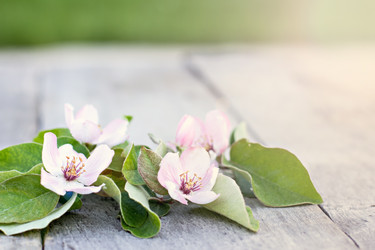 Similar image 13071994