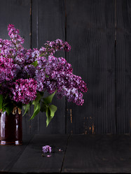 Similar image 13071997