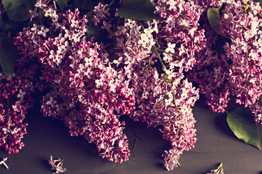 Similar image 13072009