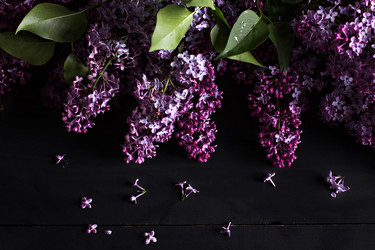 Similar image 13072010