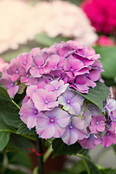 Similar image 13067523