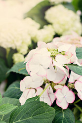 Similar image 13066464