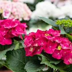 Similar image 13066483