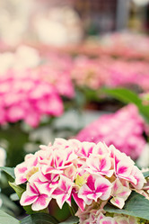 Similar image 13066503