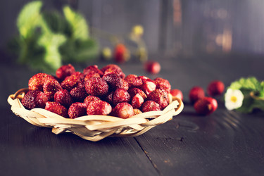 Similar image 13066543