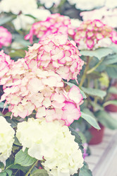 Similar image 13066544