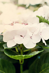 Similar image 13066603