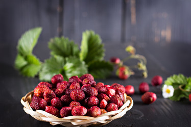 Similar image 13066624