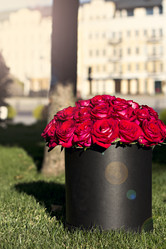 Similar image 13066663