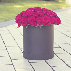 Similar image 13066684