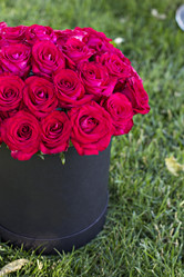 Similar image 13066704