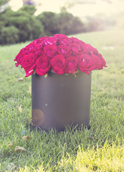 Similar image 13066724